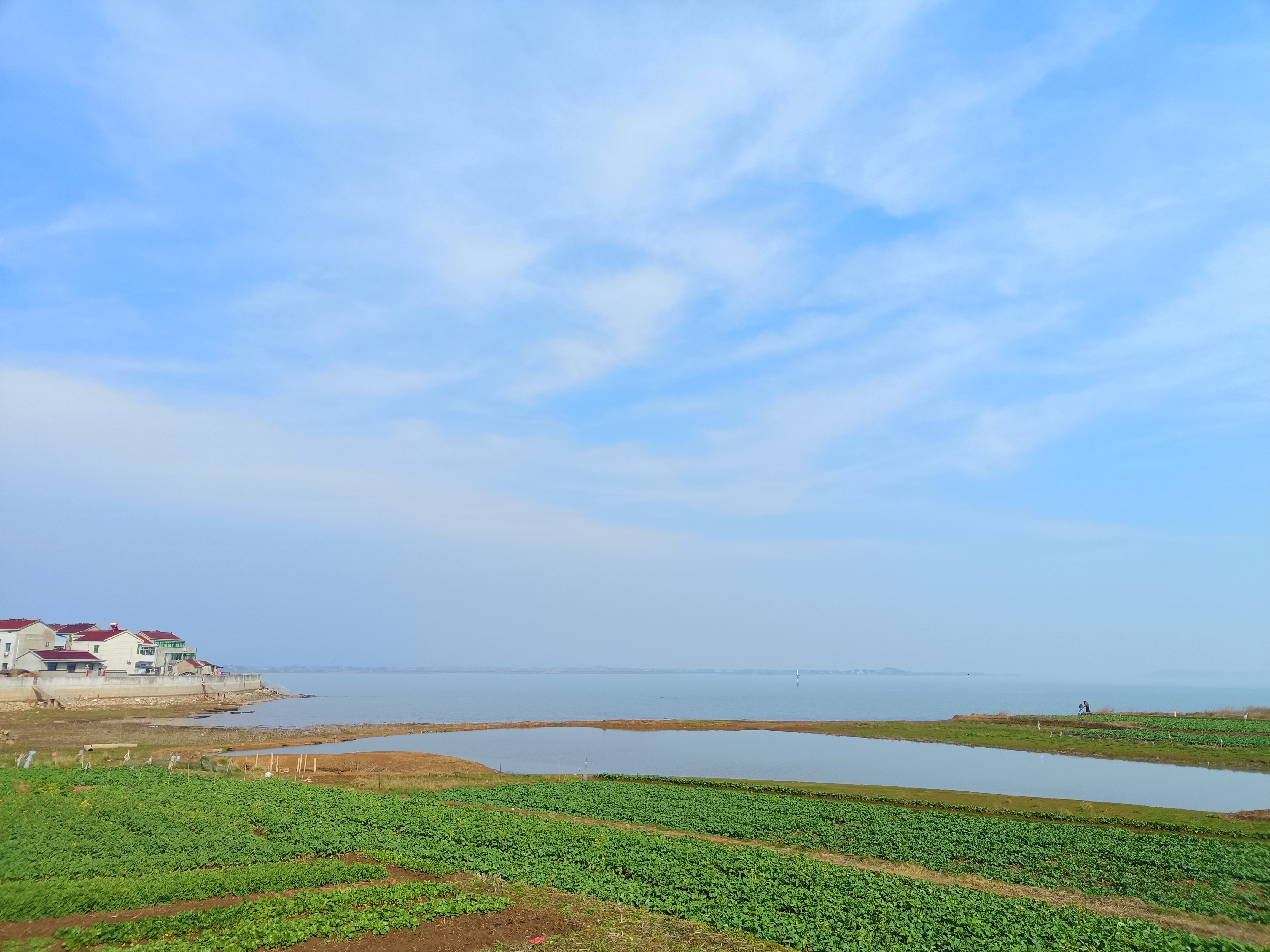 Cover Image of the Post