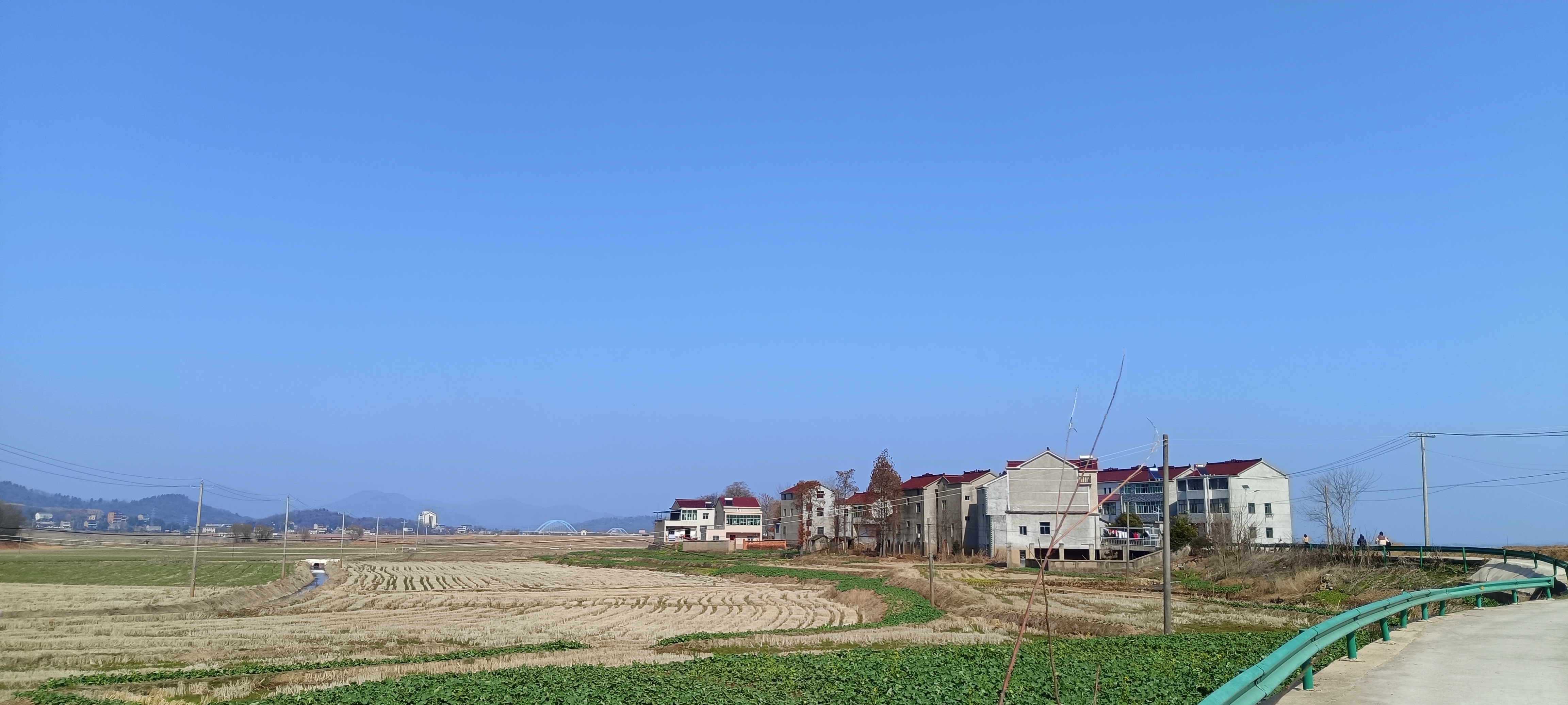 Cover Image of the Post